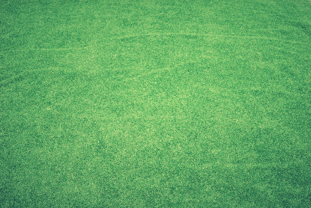 New sod turf being laid on prepared soil for a San Diego lawn